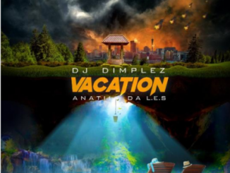 DJ DIMPLEZ FT ANATII & DA LES – VACATION (SNIPPET)