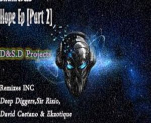 D&S.D Projects – Shameless Hope (Sir Rizio Remix)