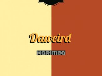 DaWeirD – Marimba (Original Mix)