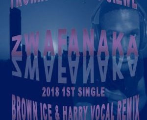Troika Musiq – Zwafanaka (Brown Ice & Harry Remix) Ft. Sizwe