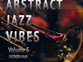 ALBUM: VA – Abstract Jazz Vibes Vol. 5