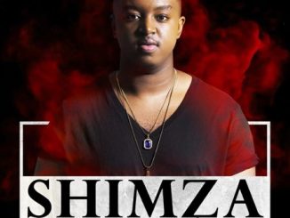 Shimza – Afrilectro (Original Mix)