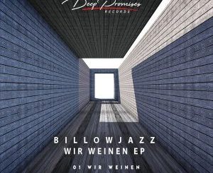 Billowjazz - Wir Weinen (Original Mix)
