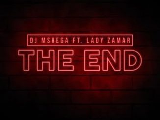 Dj Mshega - The End (SoulDeep’s Nerdic Mix) Ft.Lady Zamar