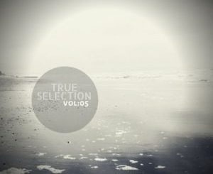 Album: VA – True Selection Vol.05 (Zip File)