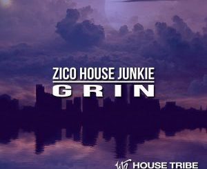 Zico House Junkie - Grin