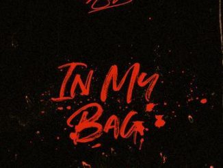 Ace Hood – In My Bag (WORLD PREMIERE Freestyle)