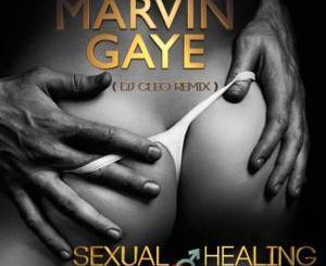 Marvin Gaye - Sexual Healing (Dj Cleo Amapiano Remix)