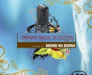 ALBUM: Shungi Wa Borwa & DJ Native SA - Limpopo House Selection, Vol. 2