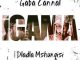 Gaba Cannal – Igama Ft. Dladla Mshunqisi