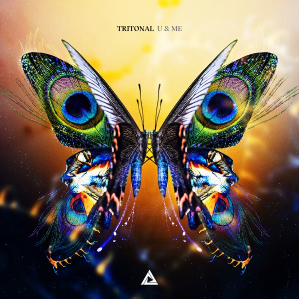 ALBUM: Tritonal - U & Me