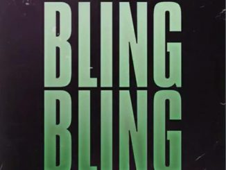 24 Heavy Ft. Young Thug – Bling Bling