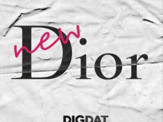 DigDat Ft. D Block Europe – New Dior