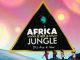 DJ Ace & Real Nox – Africa is not a Jungle