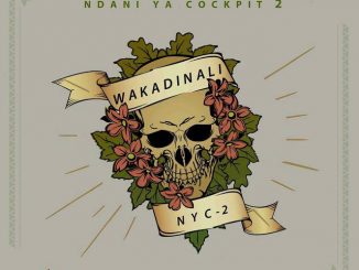 ALBUM: Wakadinali - Ndani Ya Cockpit 2