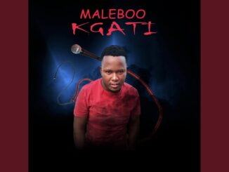 Maleboo – Kgati