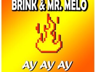 Mr. Melo – Ay Ay Ay Ft. Brink (Official Audio)