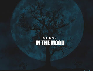 DJ NGK - Am In The Mood (AfroDrum Mix)