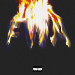 ALBUM: Lil Wayne - FWA