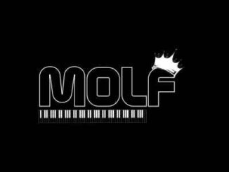 MoLF – 0417