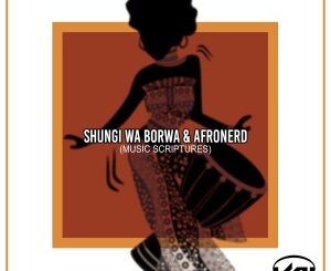 Shungi Wa Borwa – Music Scriptures Ft. AfroNerd