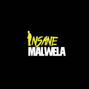 Insane Malwela - Demented Us Ft. Cheestos