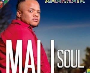 Mali Soul - Amakhaya