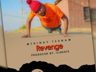 Mthinay Tsunam – Revenge