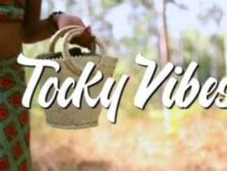 Tocky Vibes – Wadhakwa Nge Doro