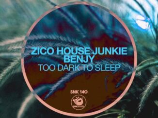 Zico House Junkie - Too Dark To Sleep (Original Mix) Ft. Benjy