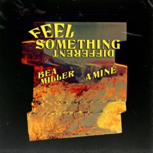 Bea Miller & Aminé – FEEL SOMETHING DIFFERENT