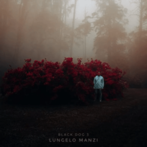 Closure – Lungelo Manzi