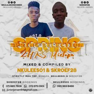 Nkulee 501 – Spring Selection Mix Ft. Skroef28 (Strictly Mdu aka TRP & Bongza)