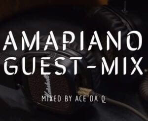 Ace da Q – AMAPIANO GUEST-MIX 6 Feat Chameleon, Mambisa II, Sgubu Ses Excellent