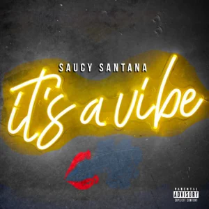 ALBUM: Saucy Santana – It’s a Vibe