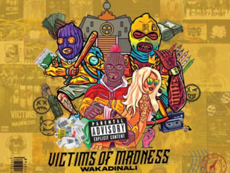 ALBUM: Wakadinali – Victims of Madness