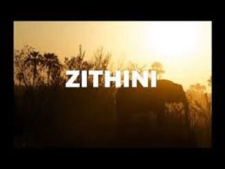 Mr Jazziq – Zithini Ft. Lady Du, Zuma & Busta 929 (Prod. FIBBS)