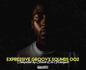 Stash Da Groovyest – Expressive Groovy Sounds 002 Mix