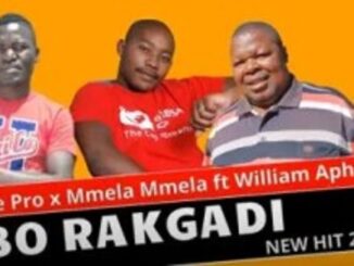 VT The Pro – Bo Rakgadi Ft. William Aphane & Mmela Mmela
