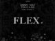 Citi Lyts – Flex ft Touchline, Jimmy Wiz & Dubb Mandela