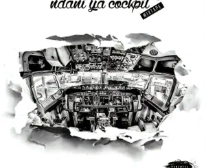 Ndani Ya Cockpit Wakadinali
