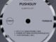 EP: Pushguy – LIMPID
