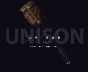 DJ Malibu – Unison Ft. Tribal Soul