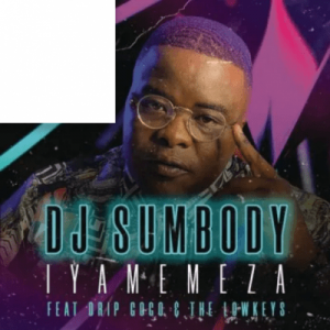 DJ Sumbody – Iyamemeza ft Drip Gogo & The Lowkeys