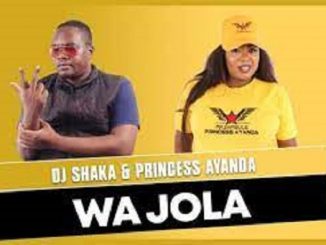 DJ Shaka – Wa Jola Ft. Princess Ayanda