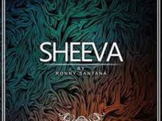 Ronny Santana – Sheeva (Original Mix)