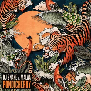 pondicherry-single-dj-snake-and-malaa