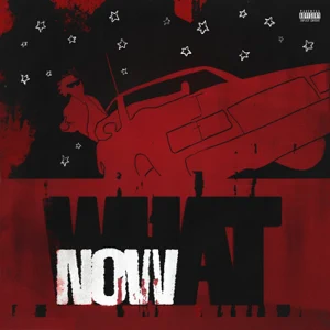 DC The Don – What Now?