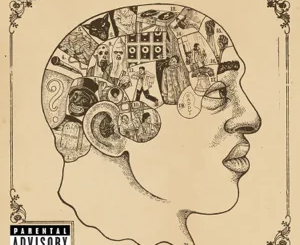 the-roots-phrenology