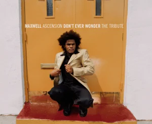 maxwell-ascension-dont-ever-wonder-the-tribute